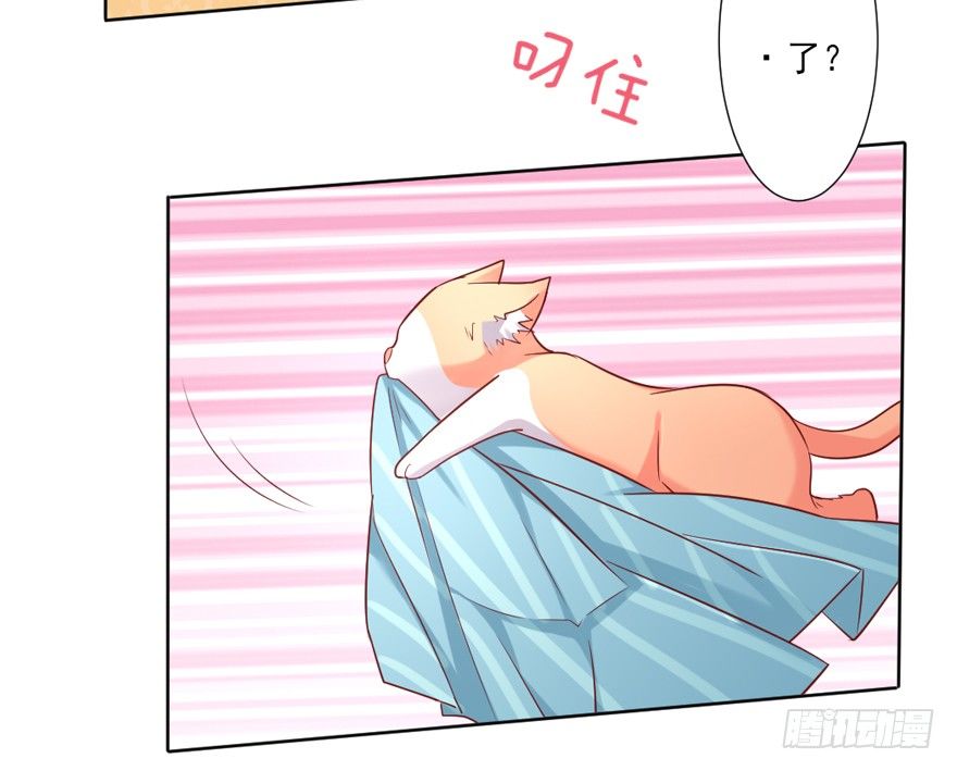 捡个影帝当饲主漫画,漏洞百出1图