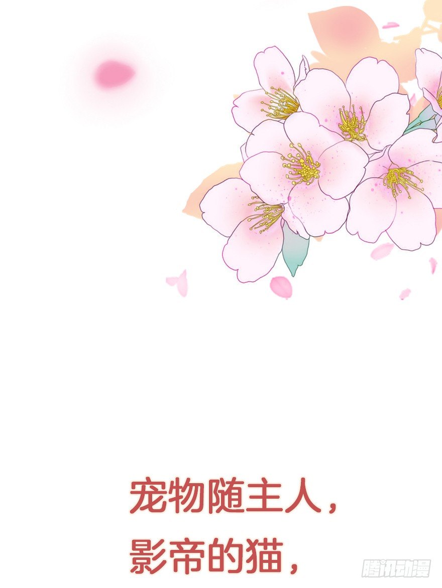 捡个影帝当饲主漫画,我们是个正经的预告！2图