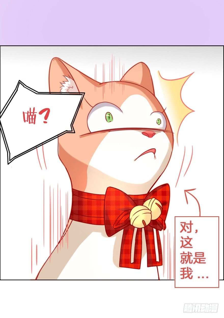 捡个影帝当饲主漫画,我们是个正经的预告！1图