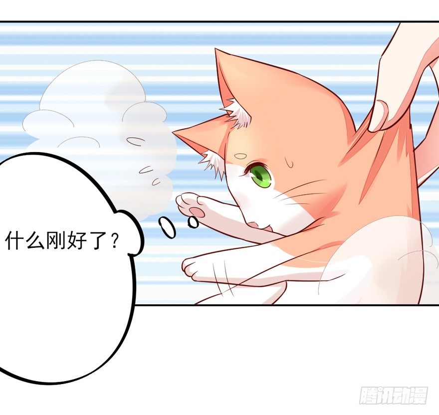 捡个影帝当饲主漫画,一起洗澡澡2图
