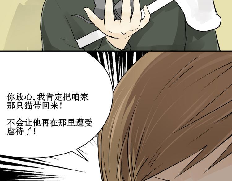 猫爷的报恩壁纸漫画,第13话 潜入行动！2图