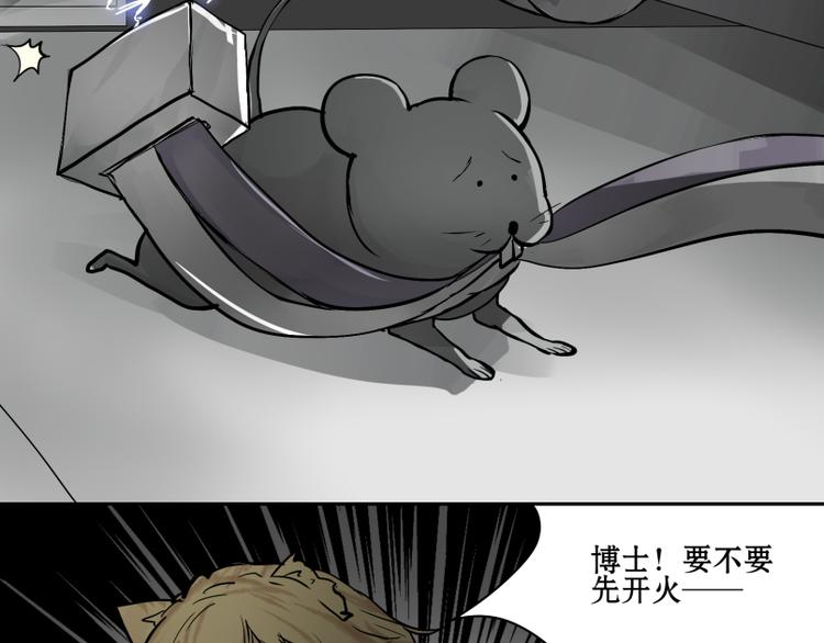 猫爷的渔场韩国美女漫画,第15话 人形喵的混战1图