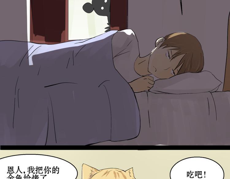 猫爷的渔场斯大林漫画,第7话 我的金鱼！！2图