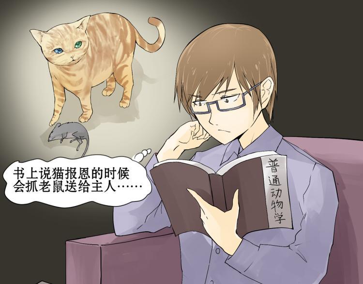 猫爷的报恩漫画,第2话 老鼠国的王子？！1图