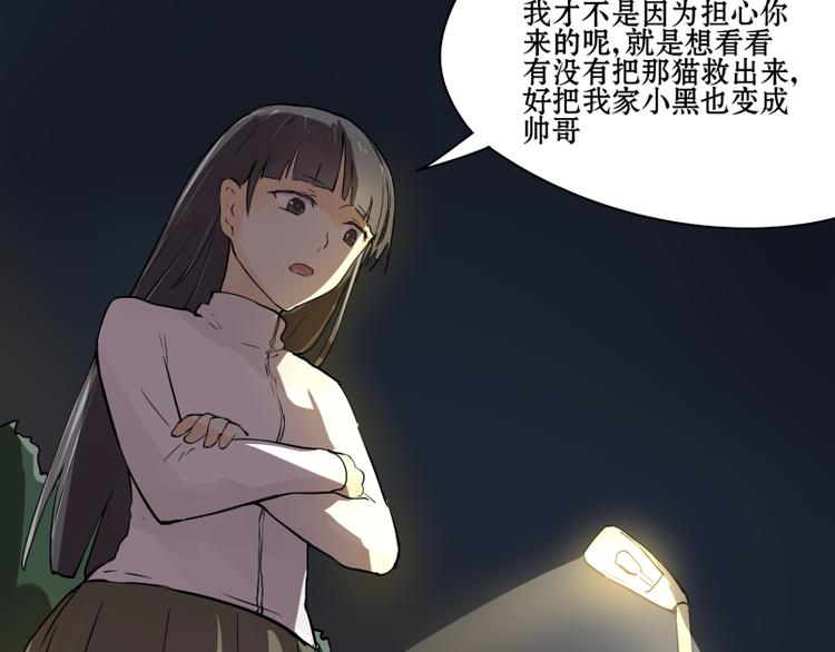 猫爷的英语漫画,完结篇：猫，我不想失去你！1图