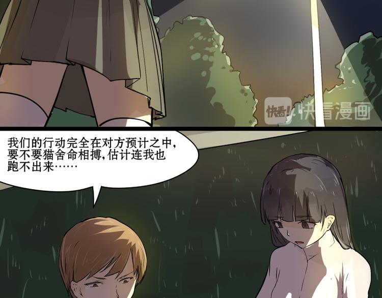 猫爷的英语漫画,完结篇：猫，我不想失去你！2图