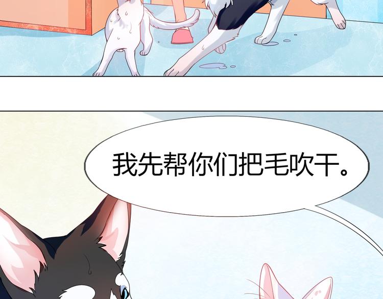 宠兽争斗最强漫画,第5话 我才不要你们保护呢！1图