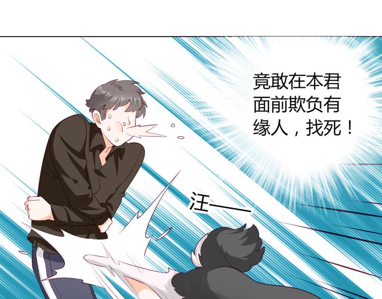 神宠争霸宠物漫画,第13话 别怕，我们来保护你1图