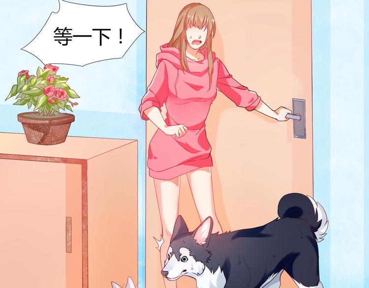 宠兽争斗最强漫画,第5话 我才不要你们保护呢！2图
