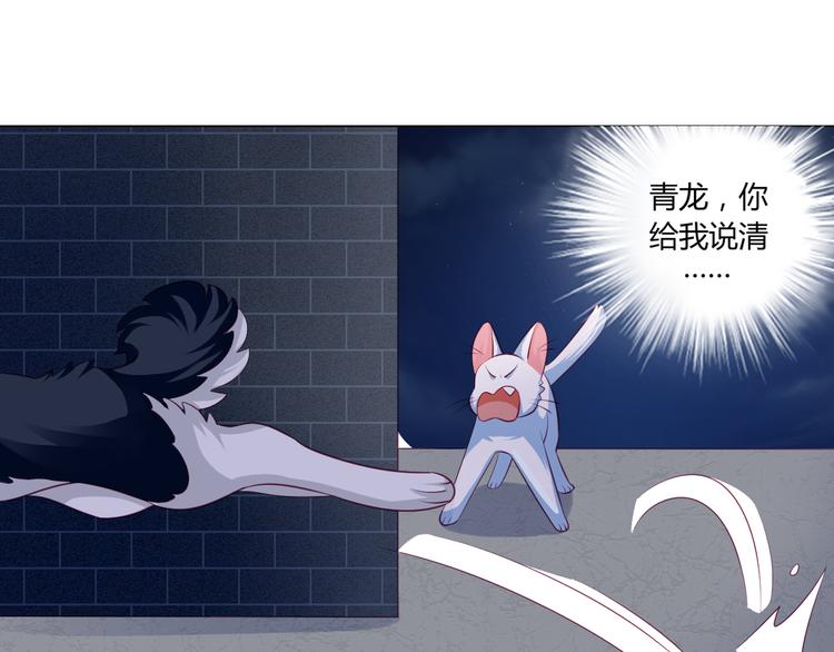宠兽争斗最强漫画,第13话 别怕，我们来保护你2图