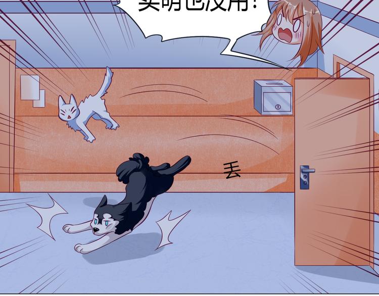 神兽争霸神兽转盘漫画,第10话 大家都怎么了？2图