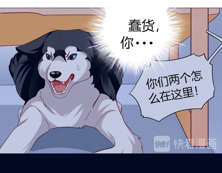 神兽金刚第一季动画漫画,第10话 大家都怎么了？2图