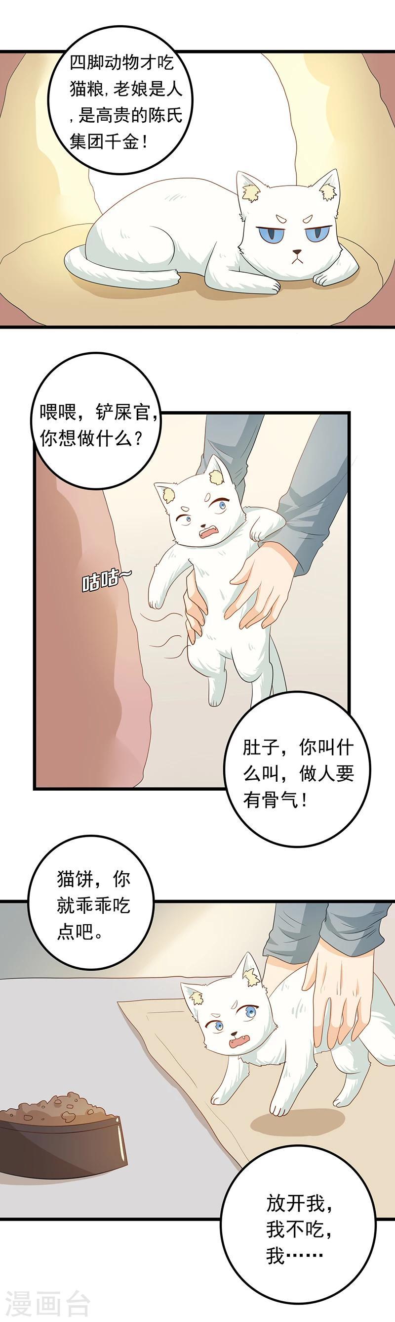 家有猫咪可用的杀虫剂吗漫画,第9话 带走你的神经猫1图