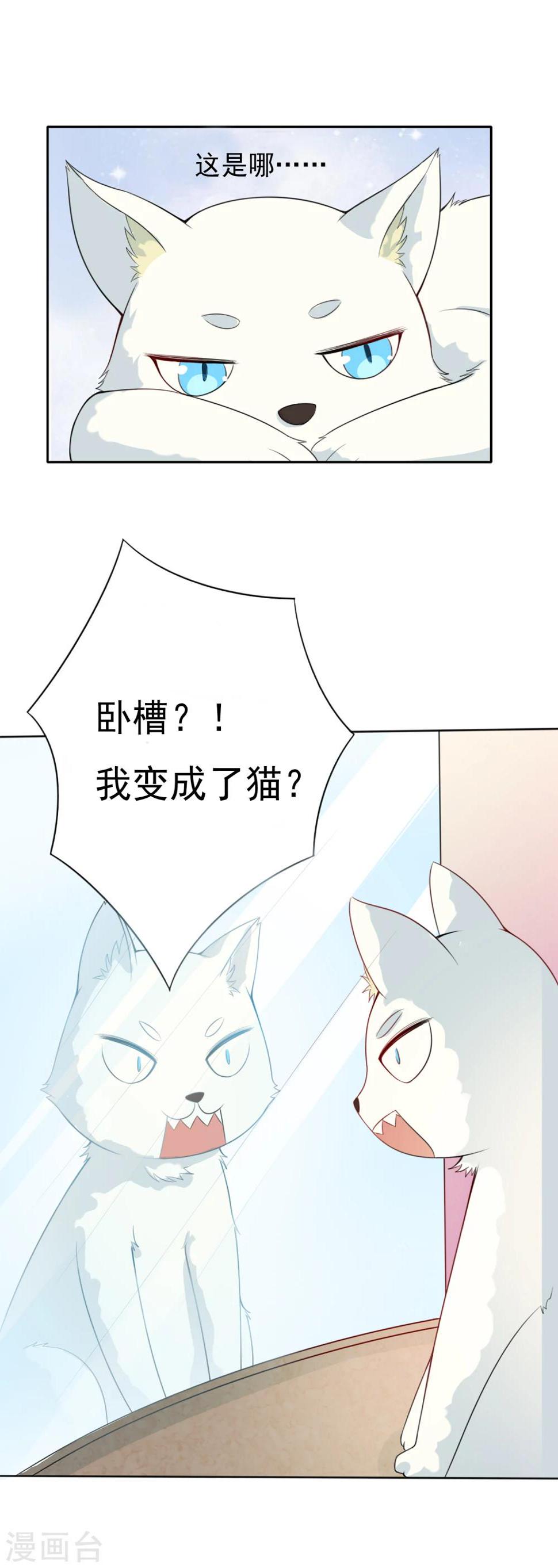 家有猫能养百合吗漫画,预告1图