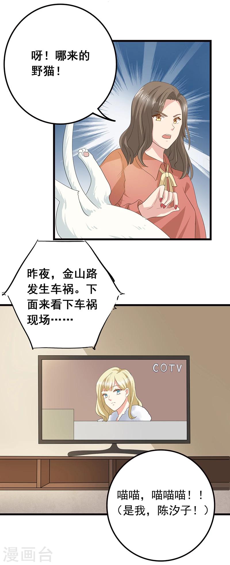 家有猫咪怎么除螨漫画,第6话 塑料姐妹情1图