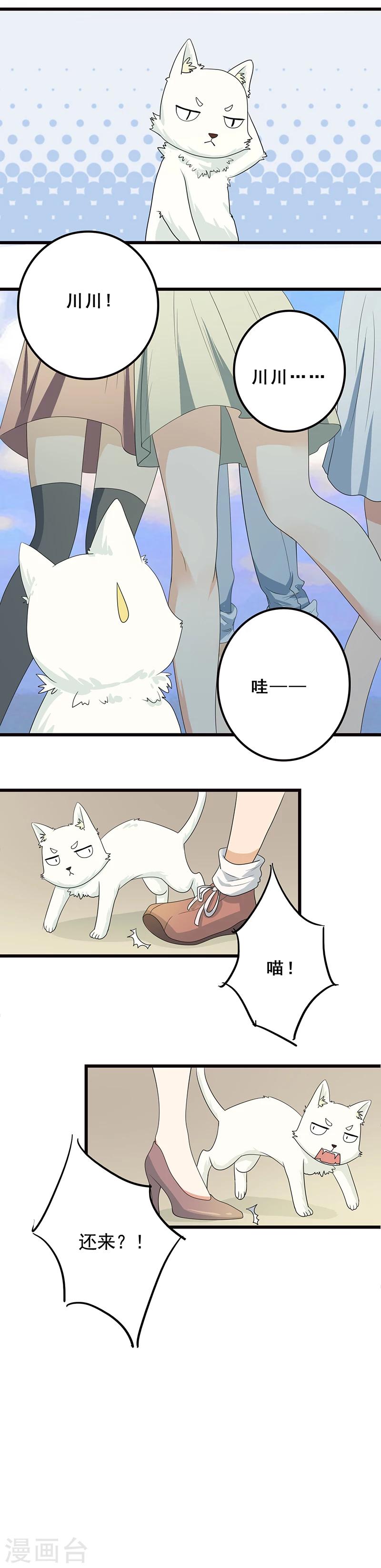 家有猫狗如何驱蚊漫画,第4话 誓不为宠1图