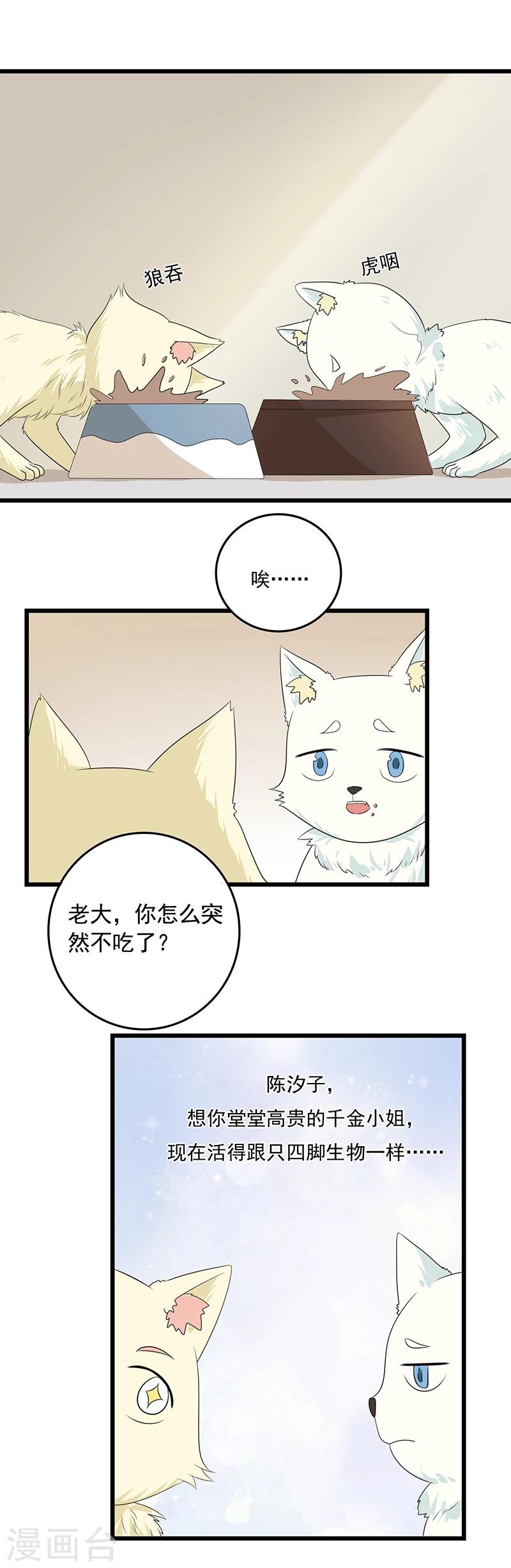 家有猫怎么防猫咬漫画,第11话 谁动了电脑？2图