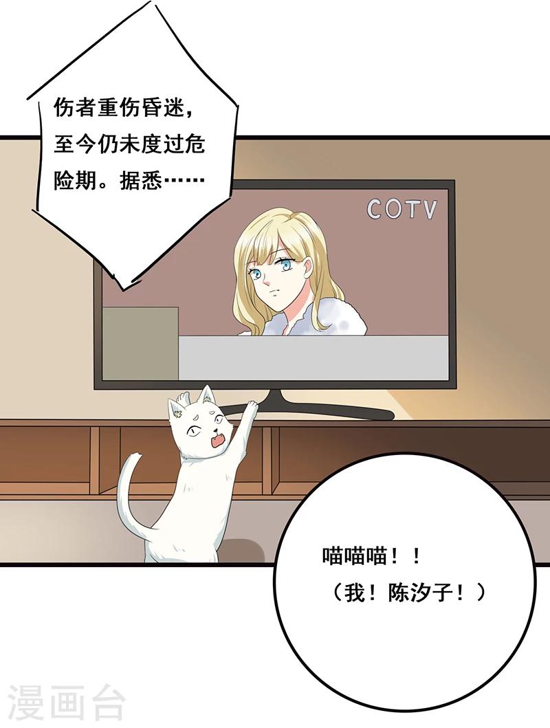 家有猫咪怎么除螨漫画,第6话 塑料姐妹情2图