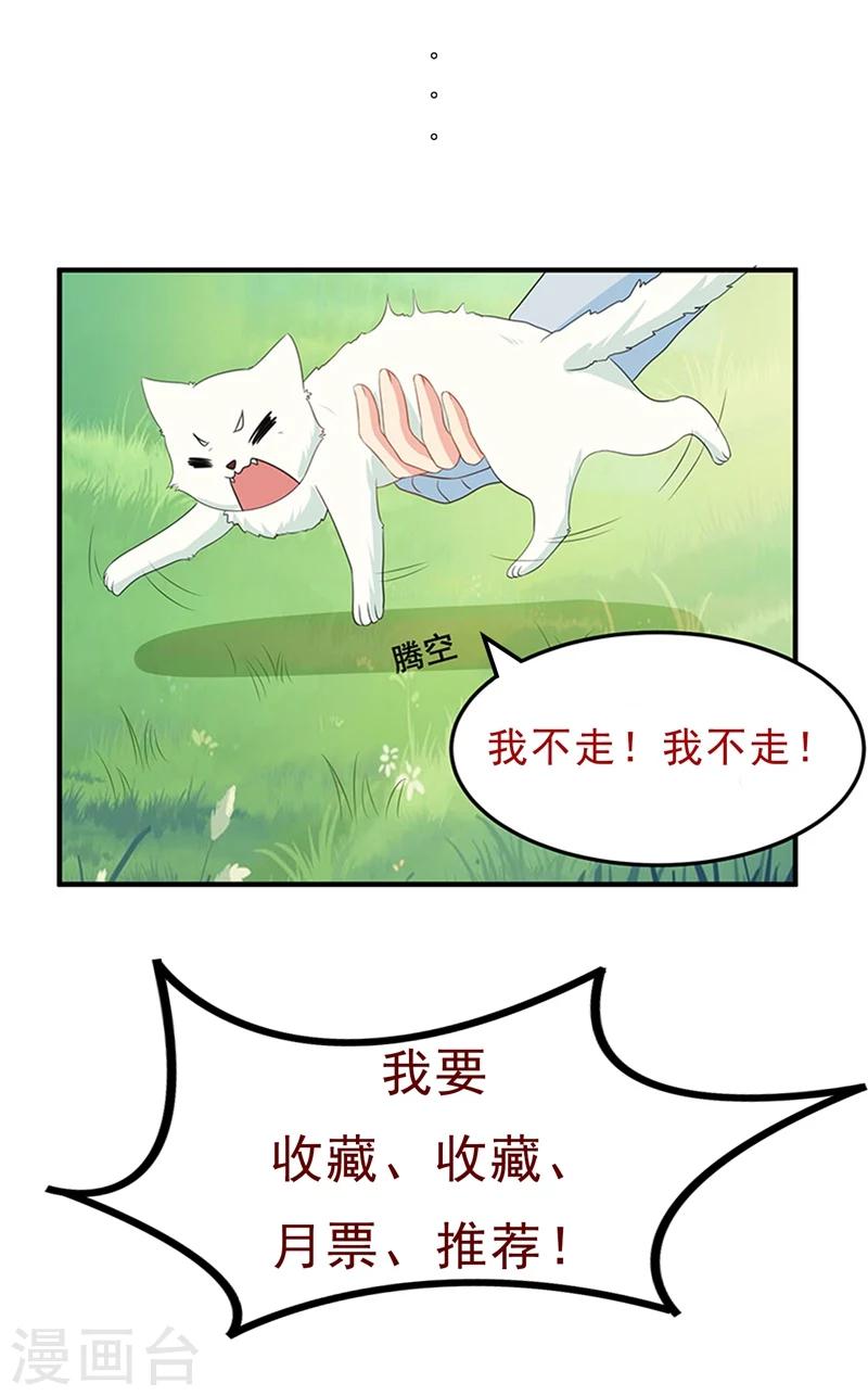 家有猫狗如何驱蚊漫画,第15话 打脸的时候到了2图