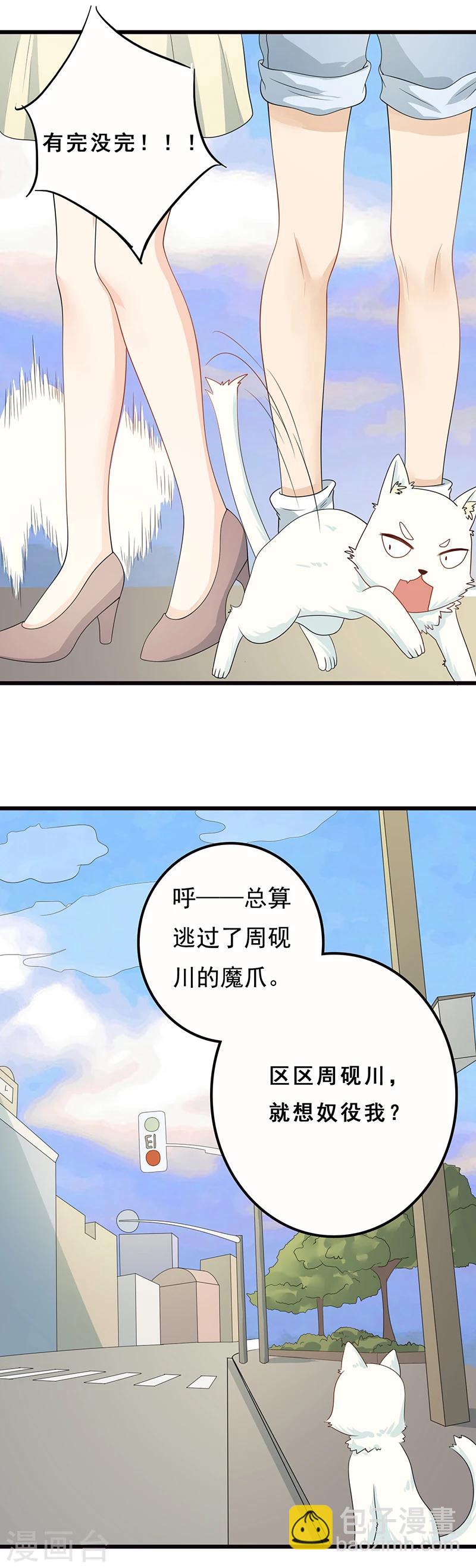 家有猫狗如何驱蚊漫画,第4话 誓不为宠2图