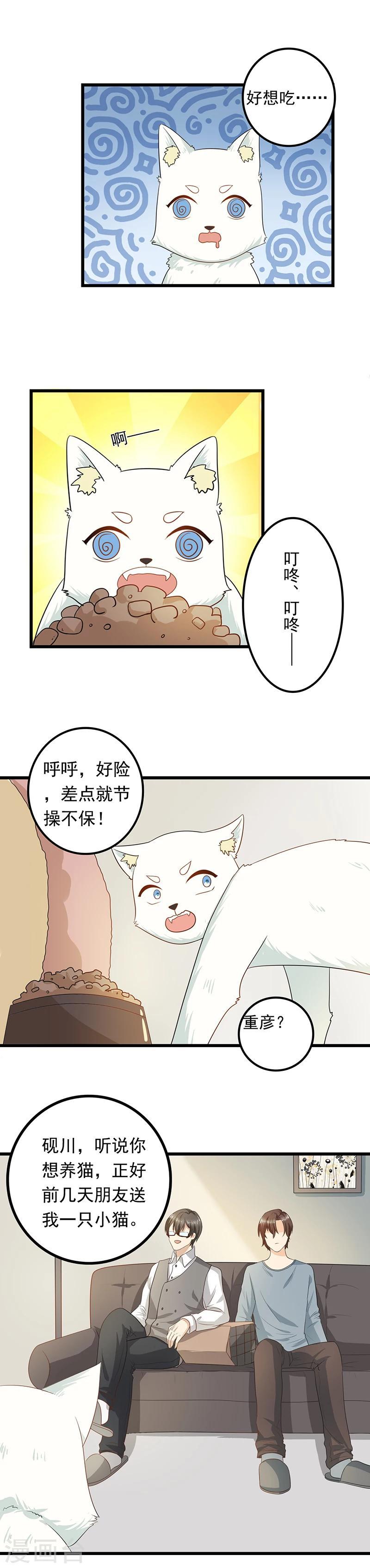 家有猫咪可用的杀虫剂吗漫画,第9话 带走你的神经猫2图