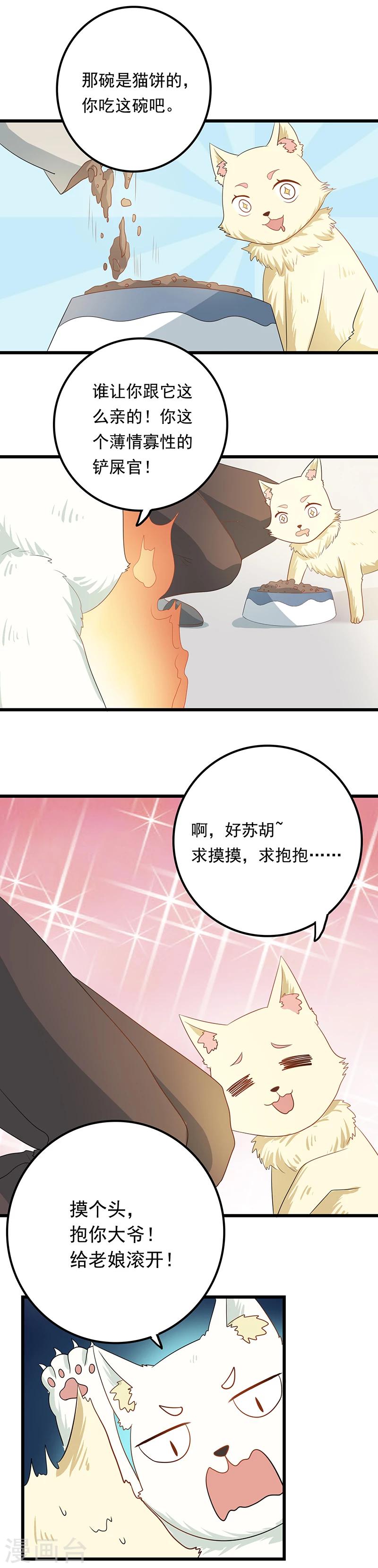 家有猫选什么沙发漫画,第9话 带走你的神经猫2图