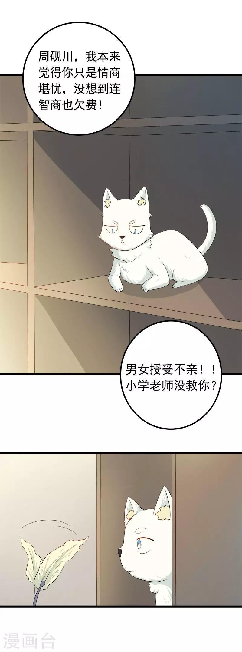 家有猫漫画,第8话 猫饼与铲屎官1图