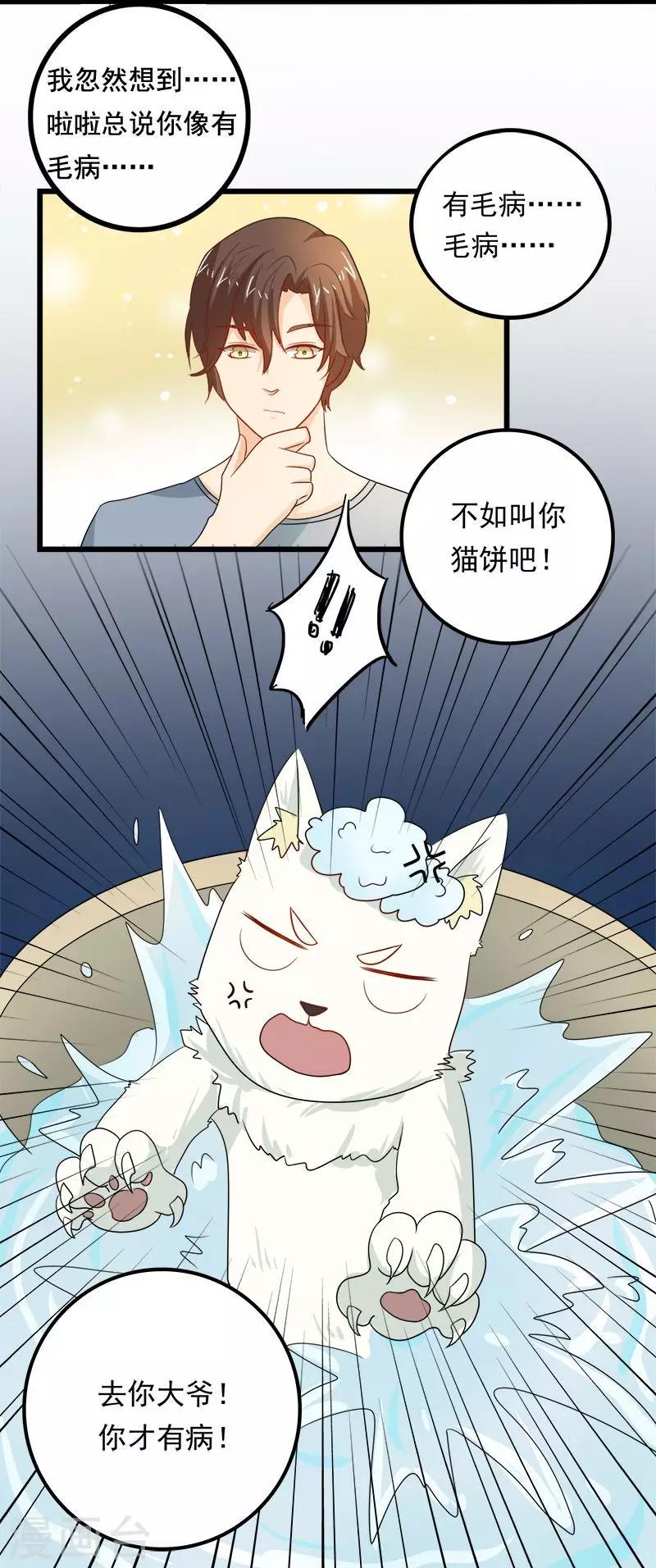 家有猫漫画,第8话 猫饼与铲屎官1图