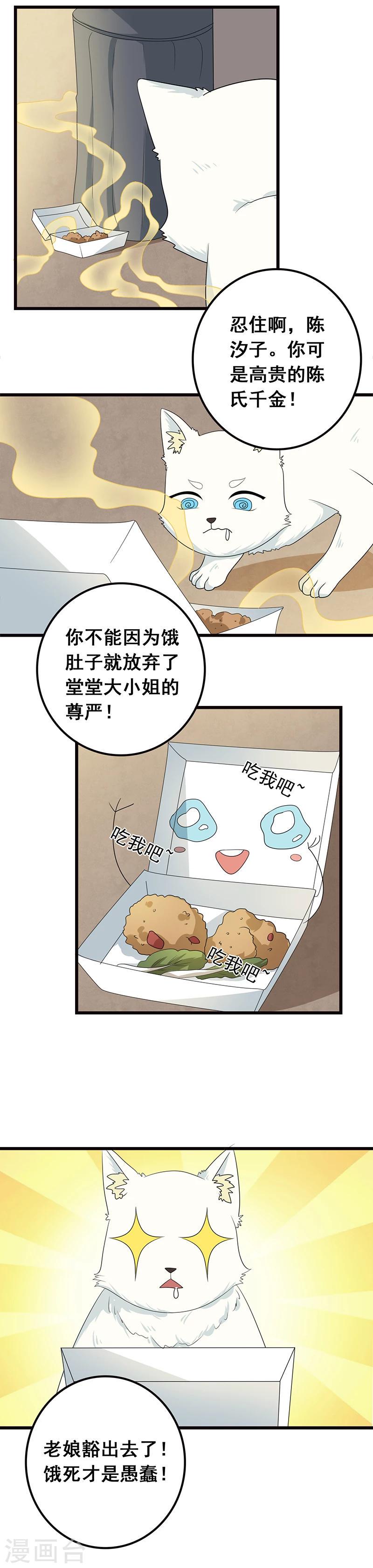 家有猫环境怎么消毒漫画,第7话 猫粮？真香1图