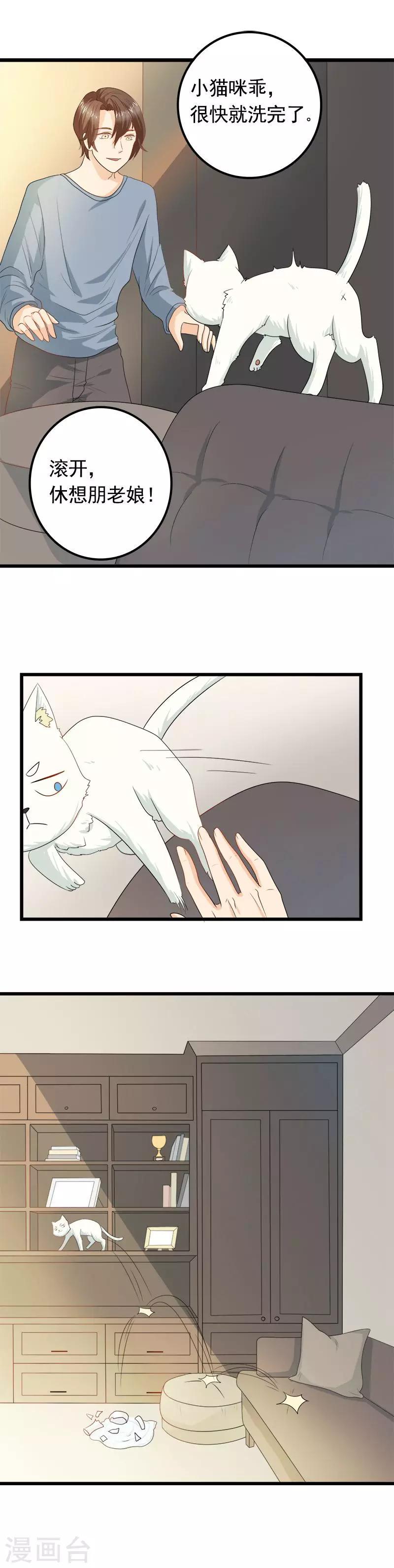 家有猫咪可以养多肉吗漫画,第8话 猫饼与铲屎官2图