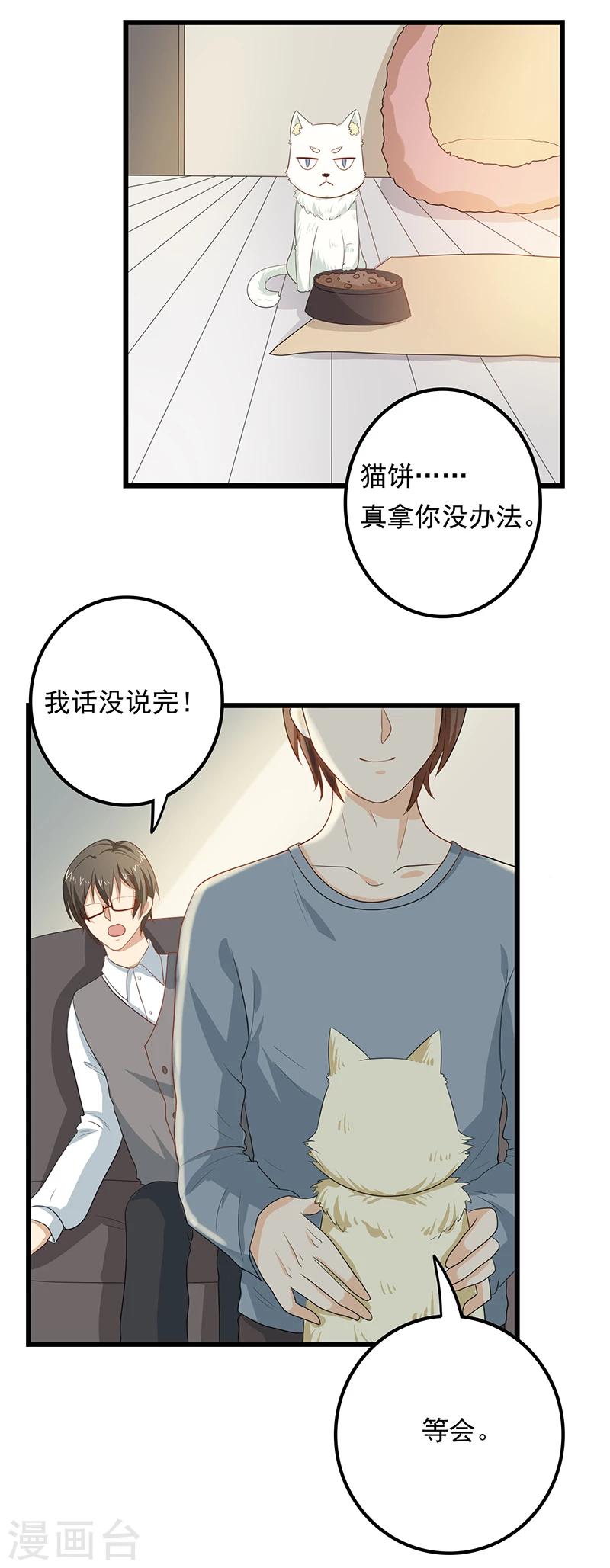 家有猫选什么沙发漫画,第9话 带走你的神经猫1图