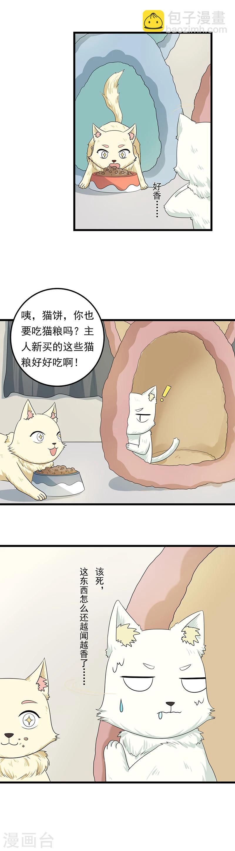 家有猫可以烧香吗漫画,第10话 老大，收下我吧1图