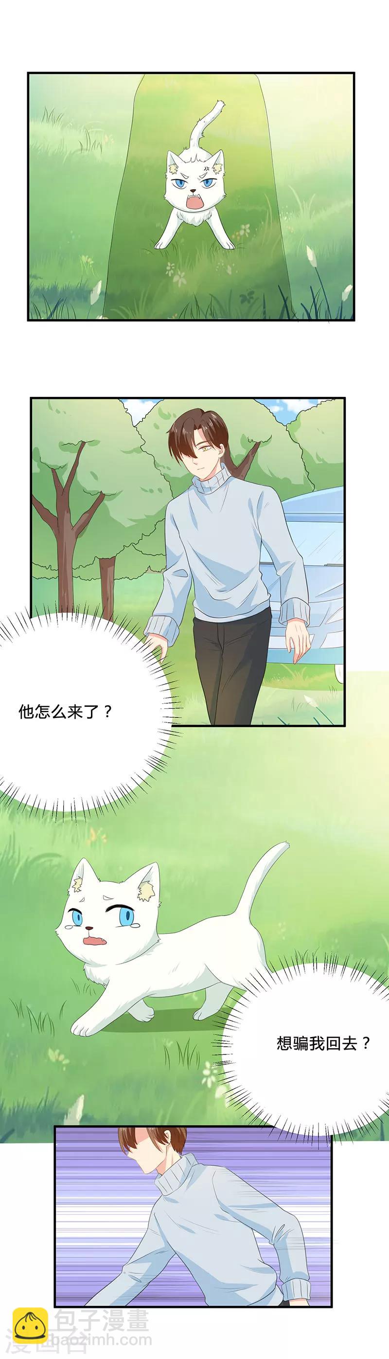 家有猫怎么防猫咬漫画,第15话 打脸的时候到了2图