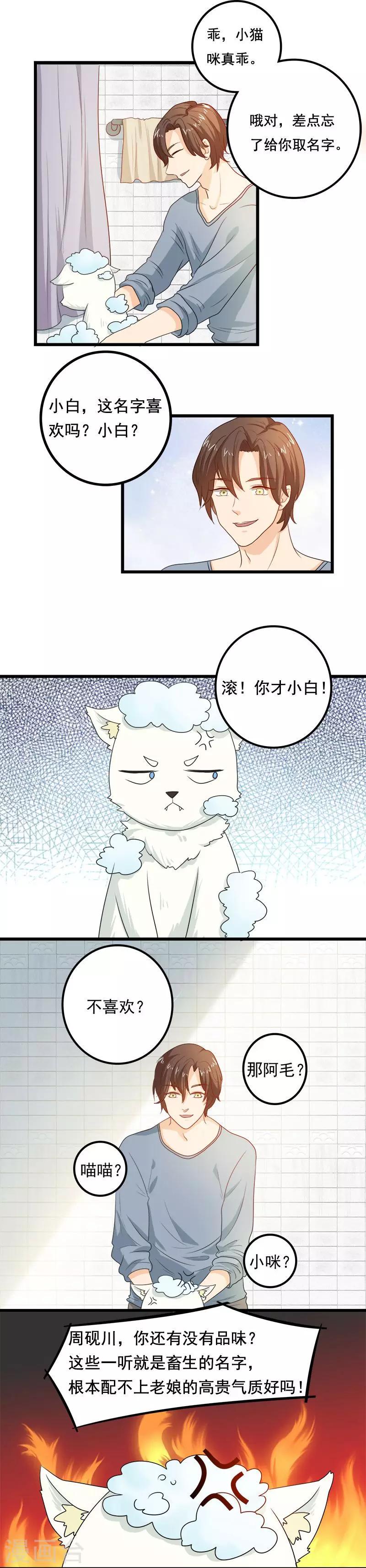 家有猫怎么灭蚊子漫画,第8话 猫饼与铲屎官2图