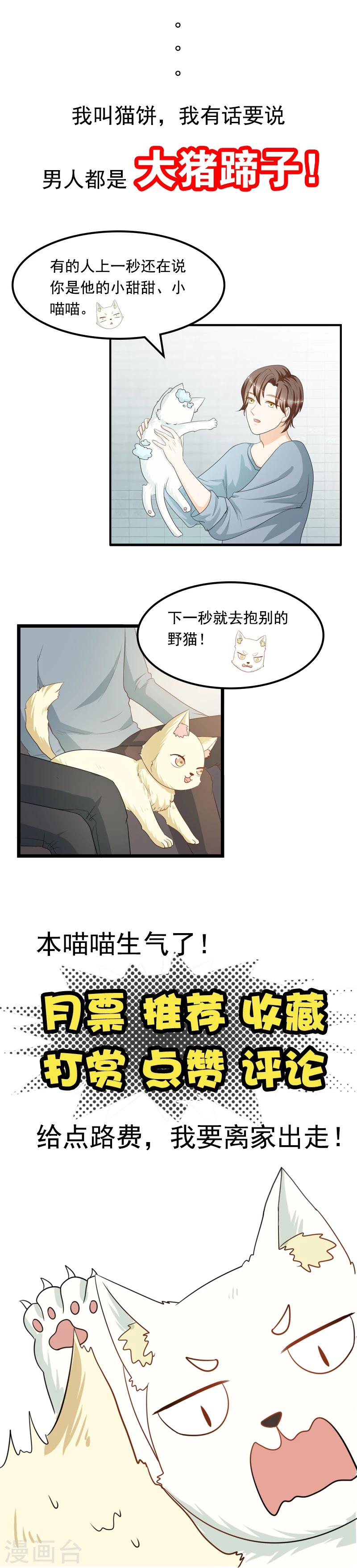 家有猫选什么沙发漫画,第9话 带走你的神经猫1图