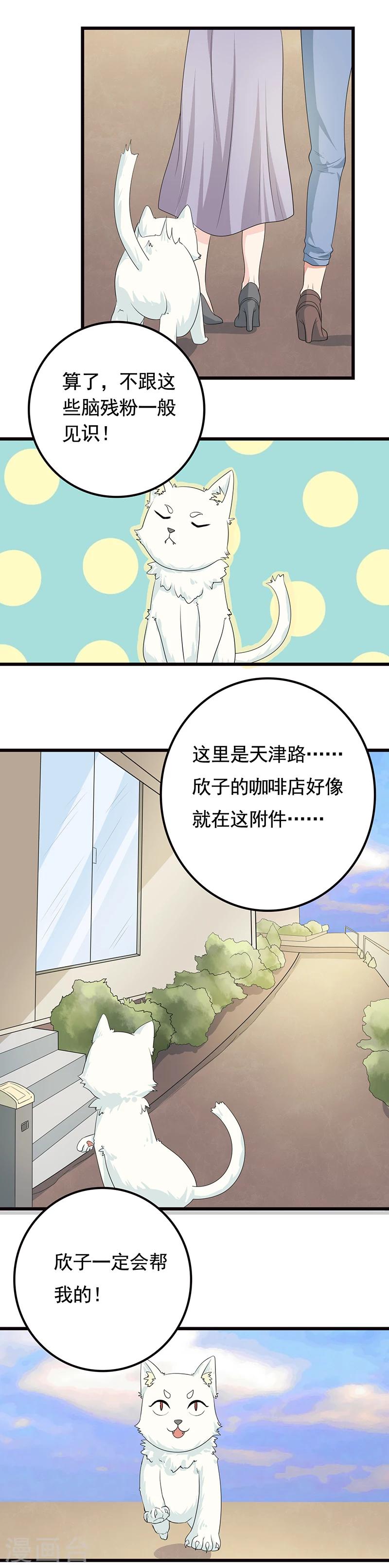 家有猫饺子漫画,第5话 做一只猫好累1图