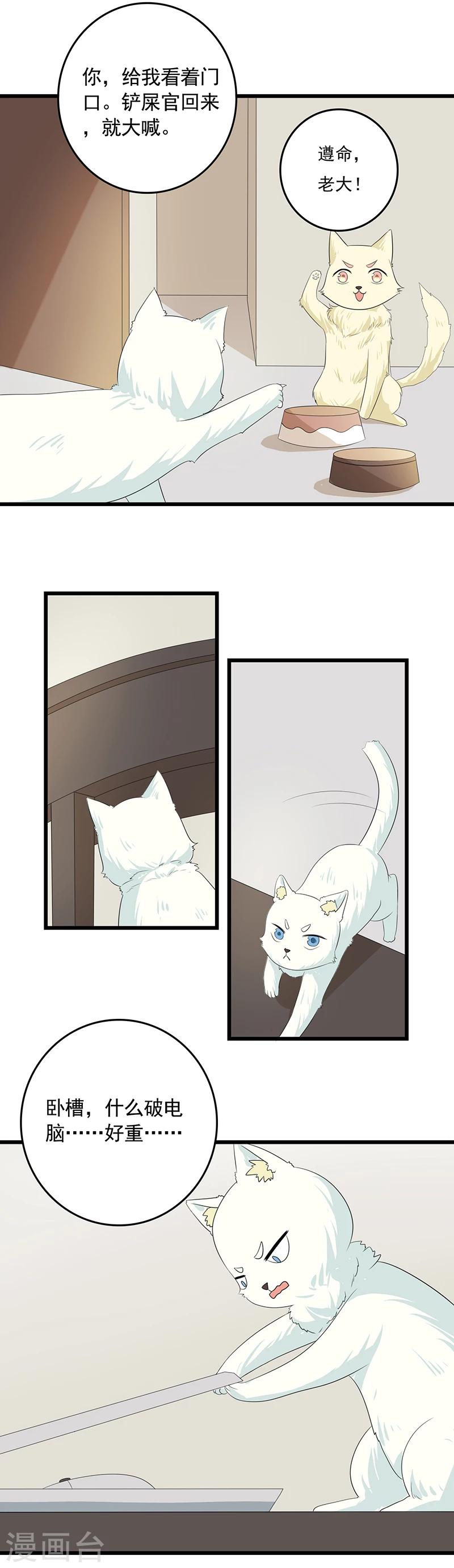 家有猫猫漫画,第11话 谁动了电脑？2图