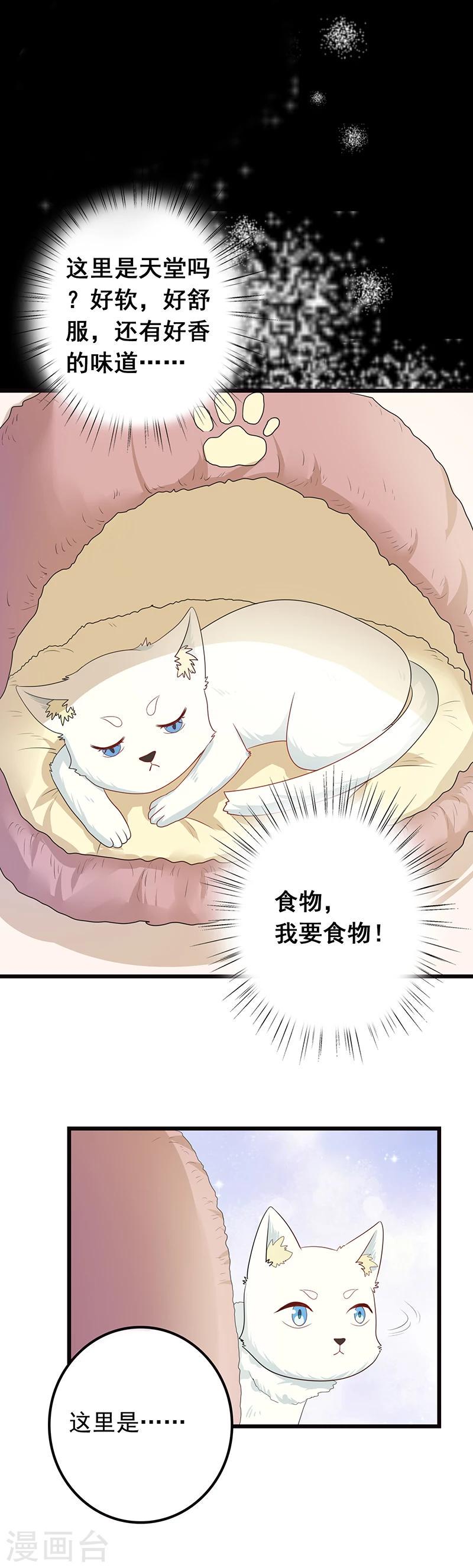 加油猫咪图片漫画,第7话 猫粮？真香1图