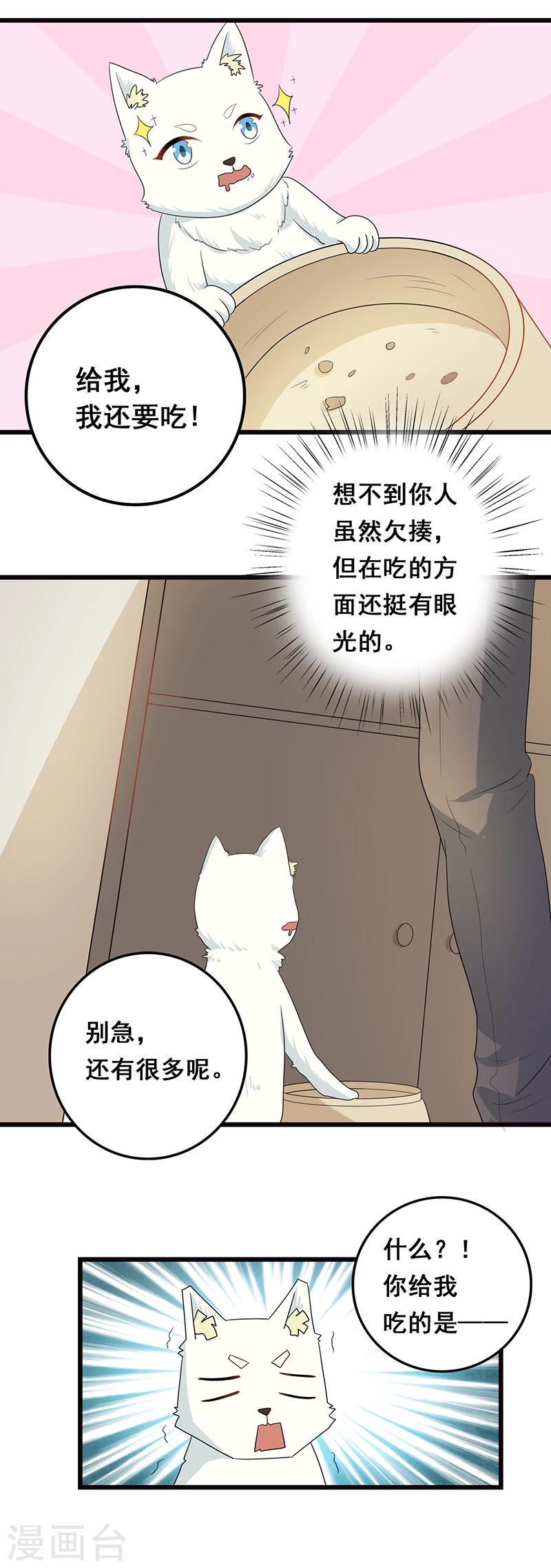 家有猫妈漫画,第7话 猫粮？真香1图