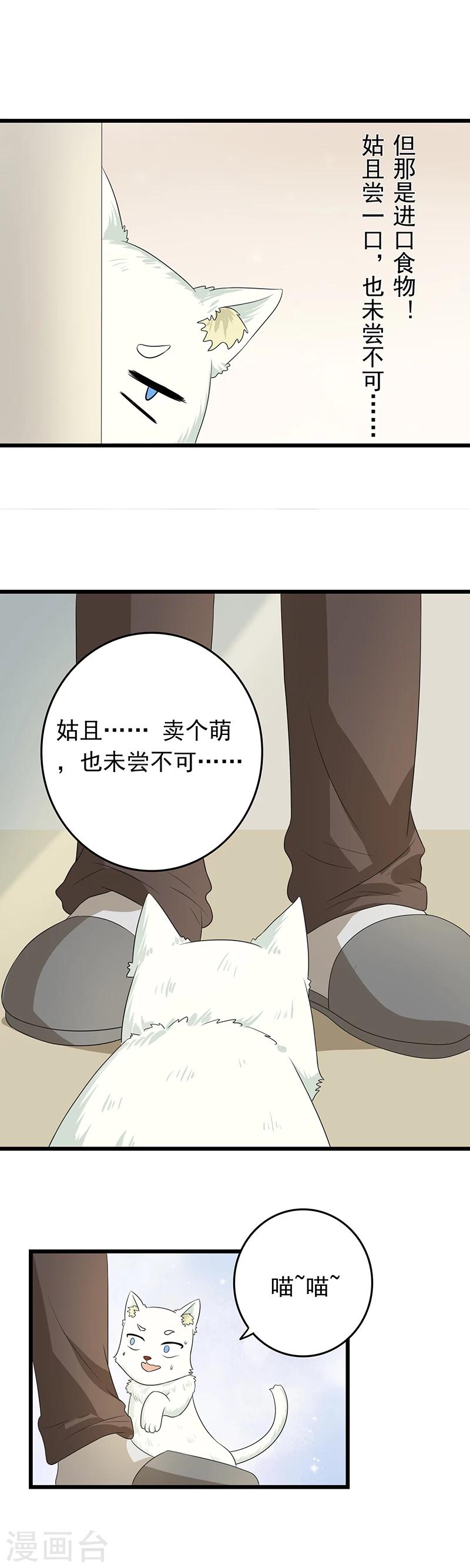 家有猫可以烧香吗漫画,第10话 老大，收下我吧2图