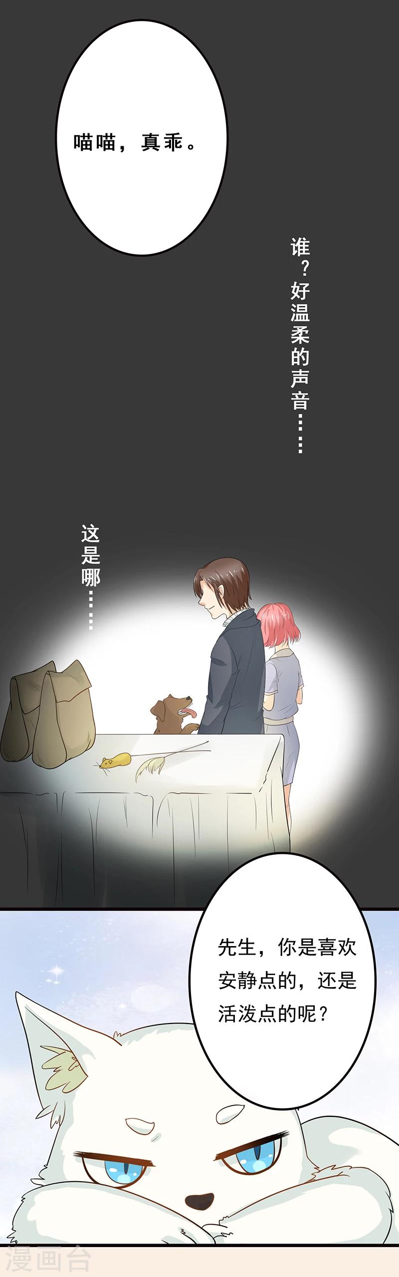 家有猫猫漫画,第3话 放开这只小猫咪2图