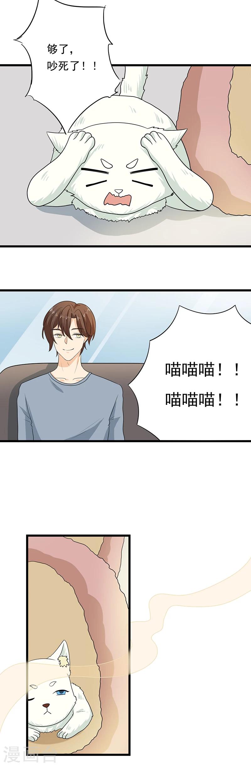 家有猫和饼漫画,第10话 老大，收下我吧2图