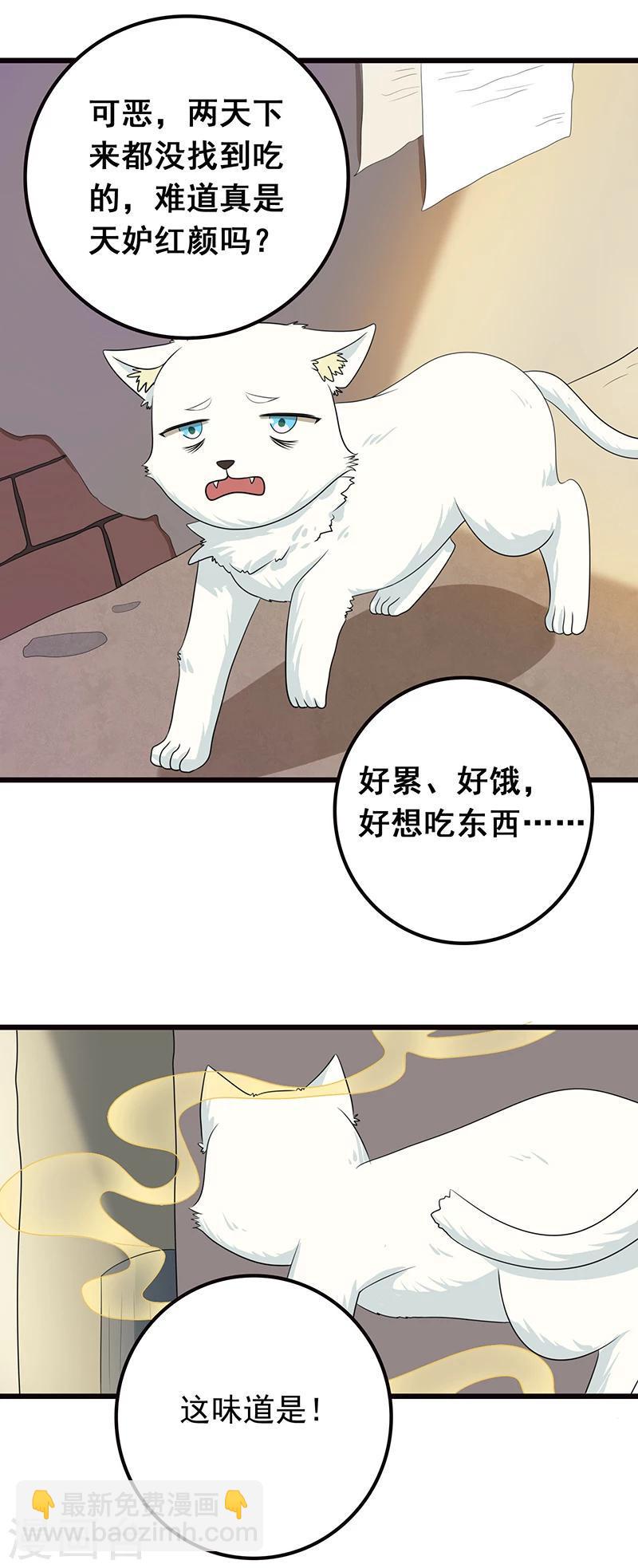 家有猫猫漫画,第7话 猫粮？真香2图