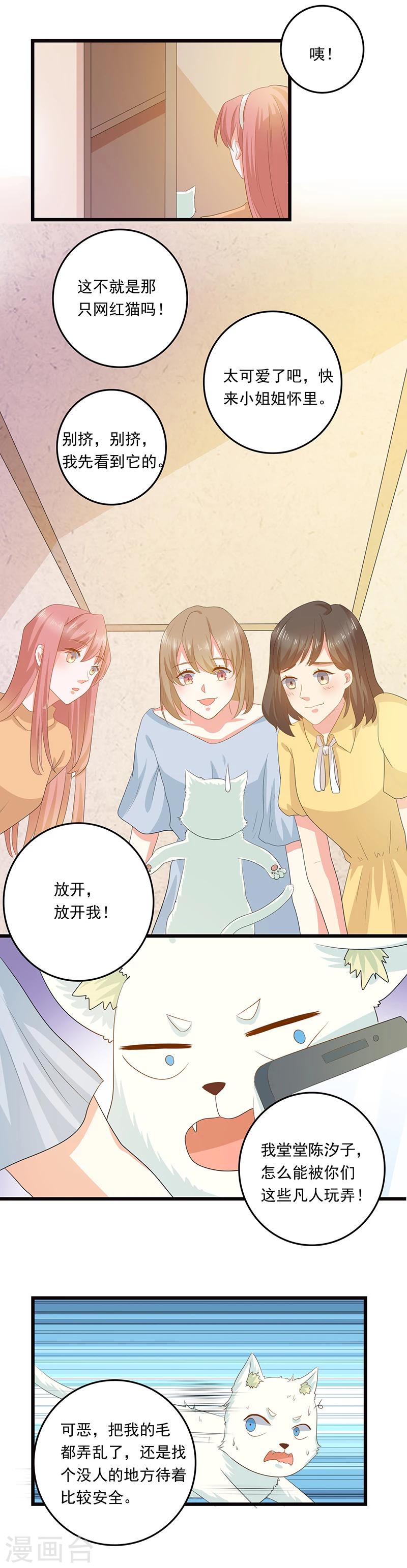 家有猫酱漫画,第13话 让我摸一下也好1图