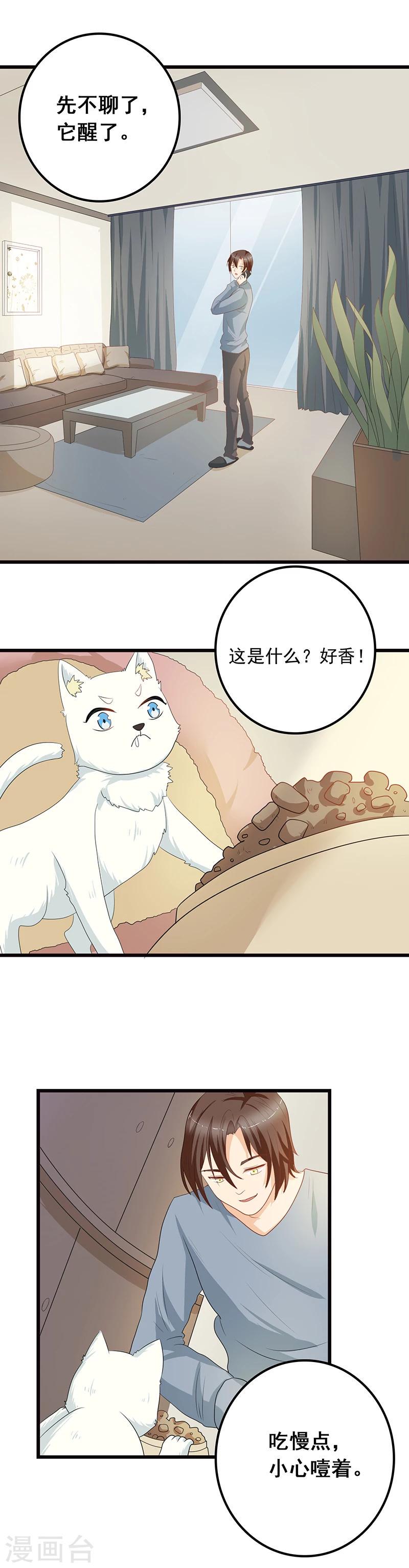 加油猫咪图片漫画,第7话 猫粮？真香2图