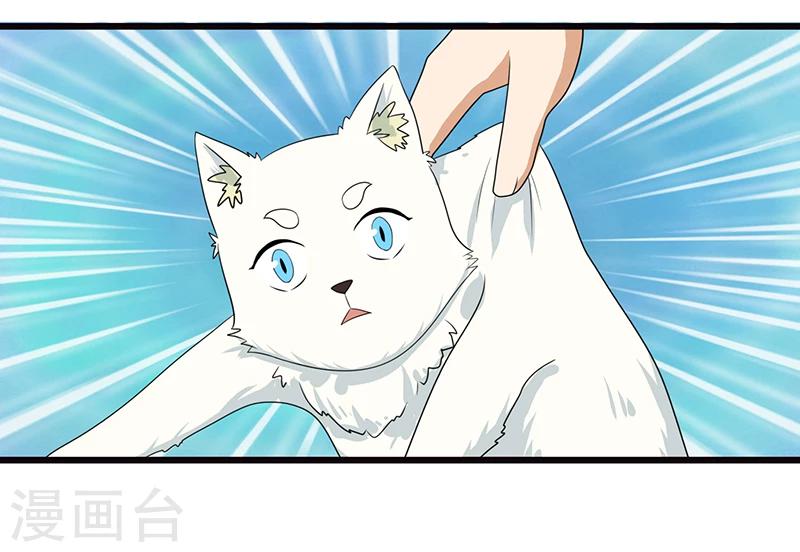 家有猫咪怎么除螨漫画,第6话 塑料姐妹情2图