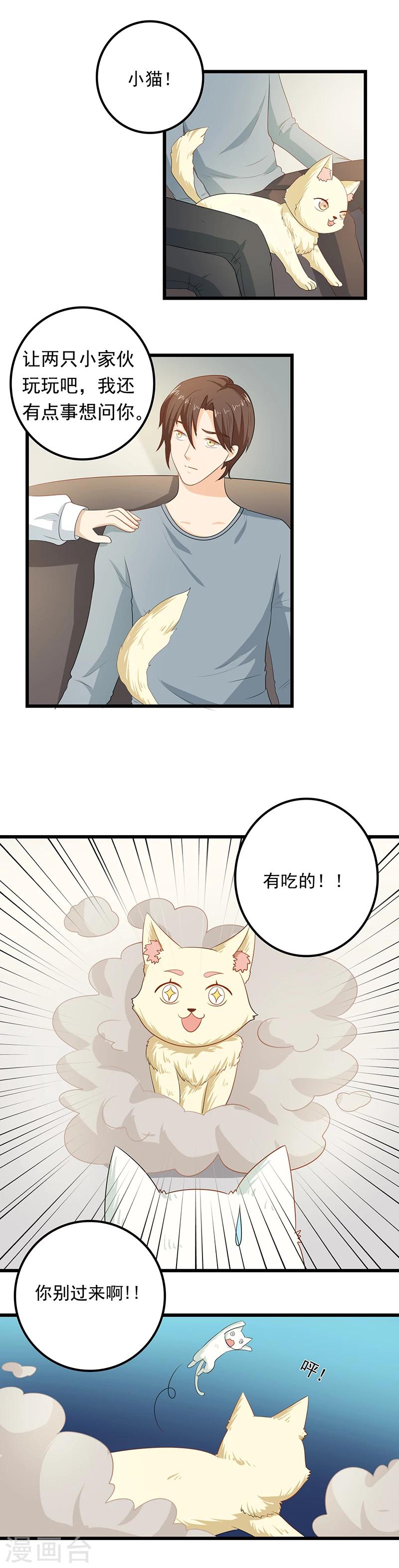 家有猫咪能不能养绿萝漫画,第9话 带走你的神经猫2图