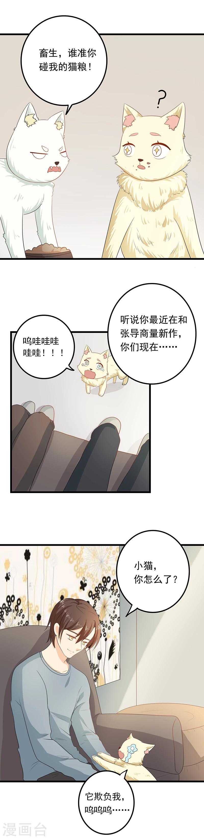 家有猫咪能不能养绿萝漫画,第9话 带走你的神经猫2图