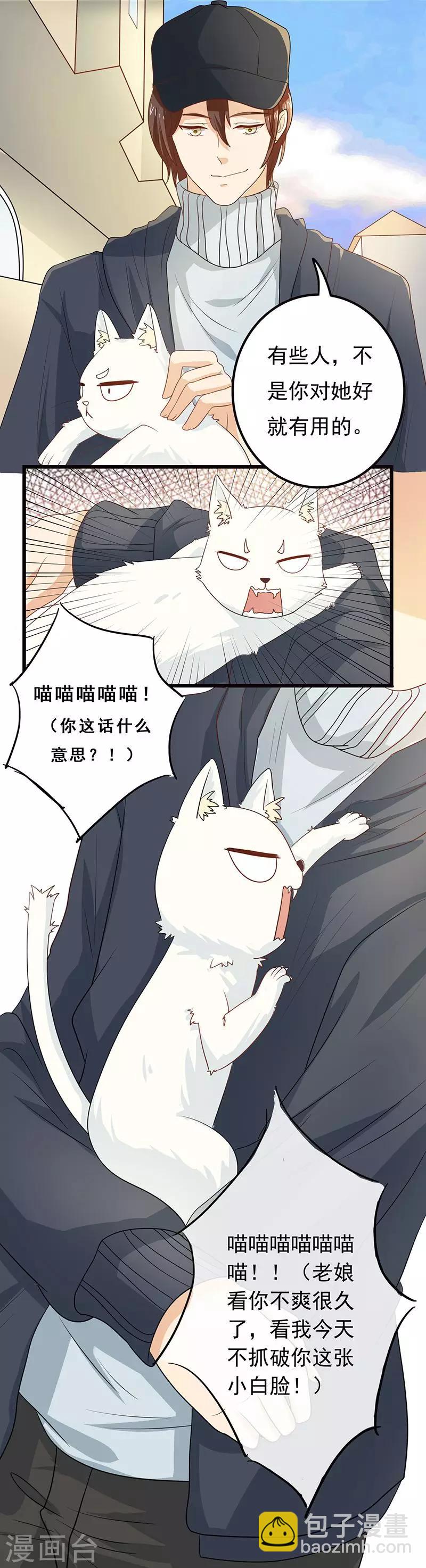 家有猫能养什么绿植漫画,第4话 誓不为宠1图