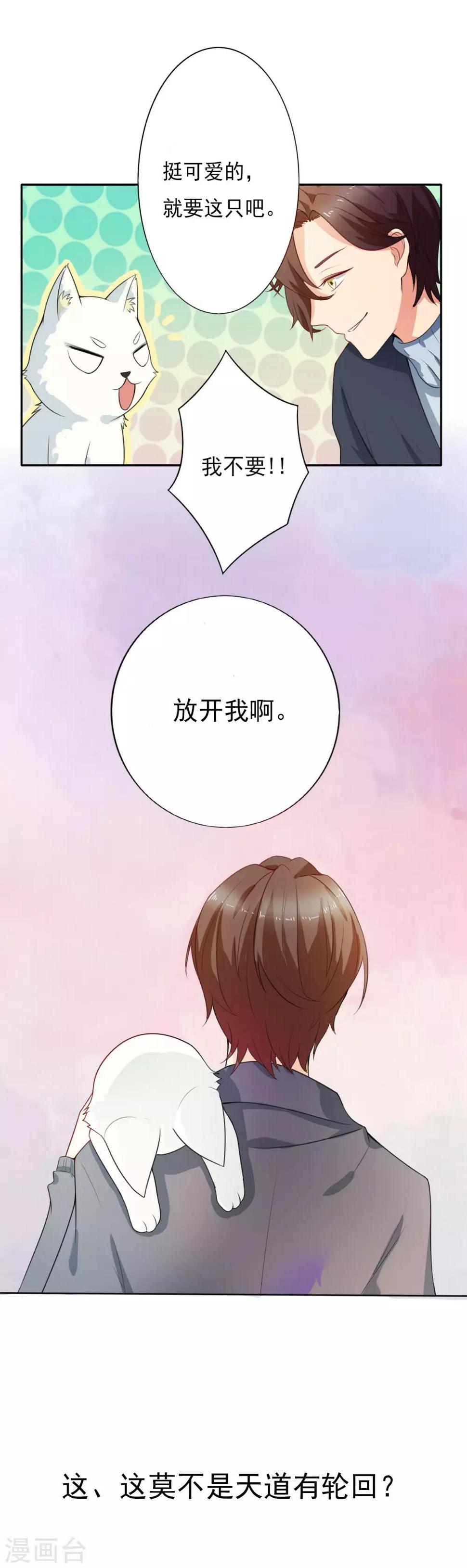 家有猫能养百合吗漫画,预告2图